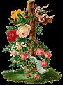 fleurs et nature (105)